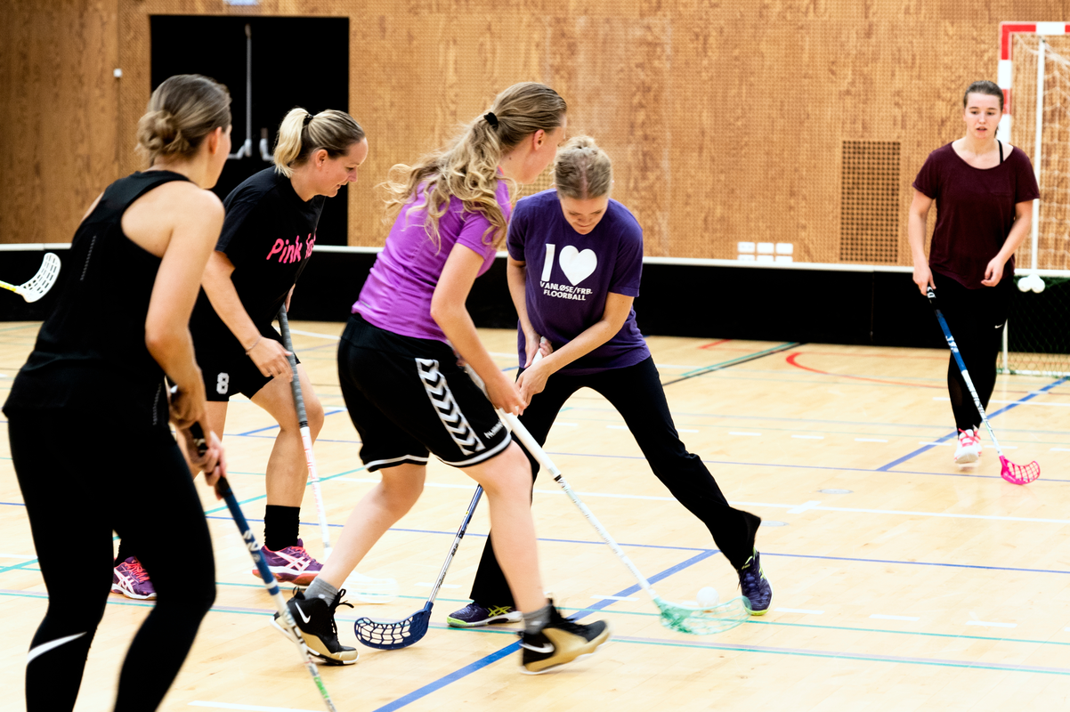 MotionsFloorball.png