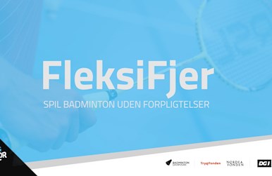 Billede til film om Fleksifjer.jpg