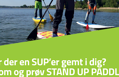 Stand_Up_Paddle_A3.png